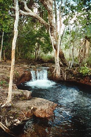 Litchfield National Park Waterfall