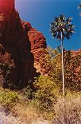 the-bungles-sm